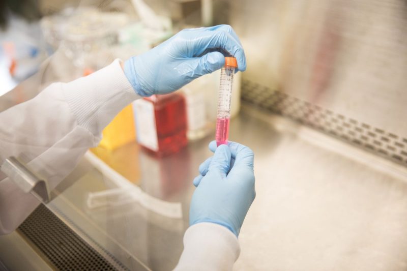 Researcher with blue gloves holding test tube with pink liquid. 